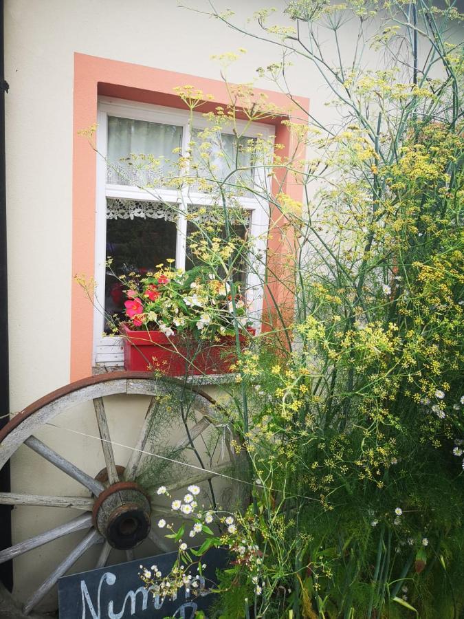 Ferienhof Plotzen Hochkirch Zewnętrze zdjęcie